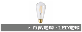白熱電球・LED電球